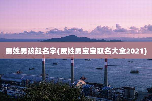 贾姓男孩起名字(贾姓男宝宝取名大全2021)