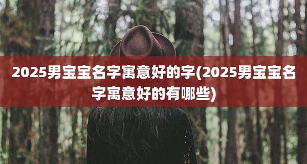 2025男宝宝名字寓意好的字(2025男宝宝名字寓意好的有哪些)