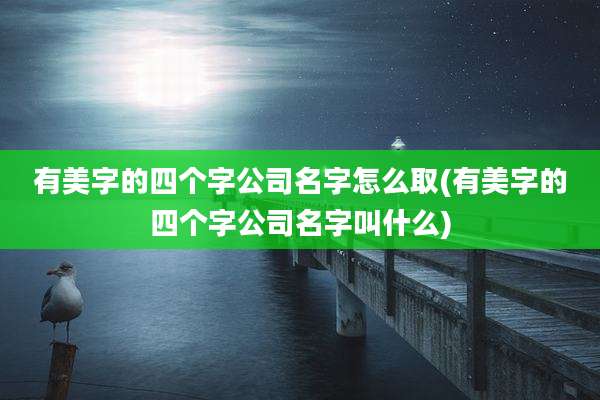 有美字的四个字公司名字怎么取(有美字的四个字公司名字叫什么)