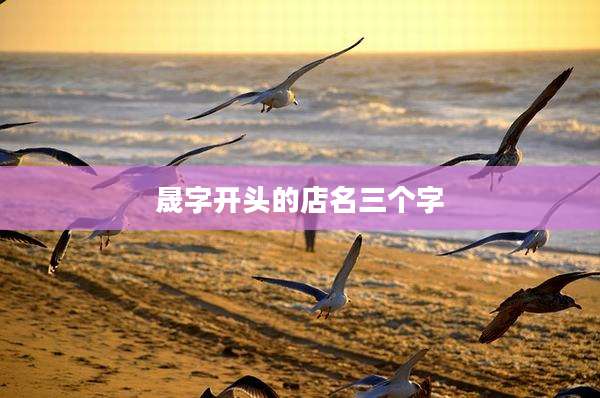 晟字开头的店名三个字
