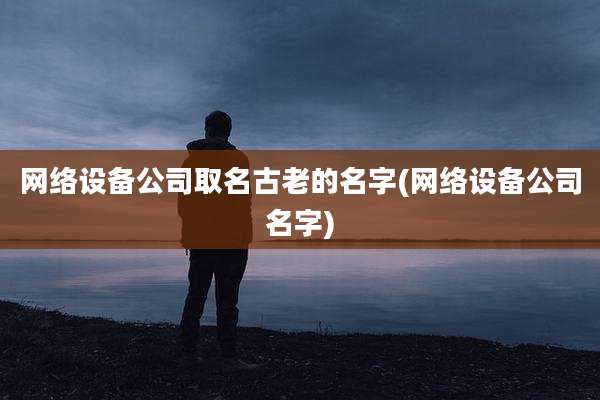 网络设备公司取名古老的名字(网络设备公司名字)
