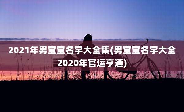 2021年男宝宝名字大全集(男宝宝名字大全2020年官运亨通)