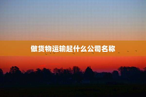 做货物运输起什么公司名称