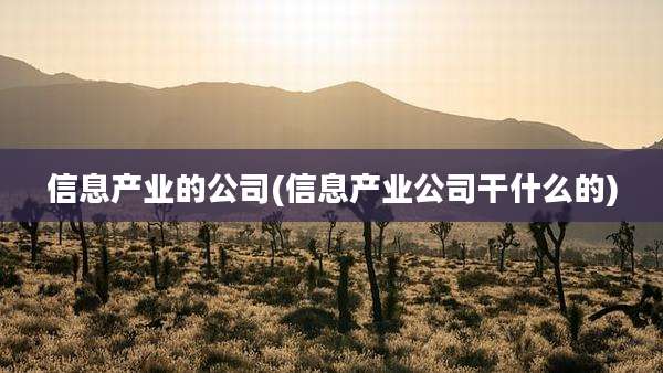 信息产业的公司(信息产业公司干什么的)