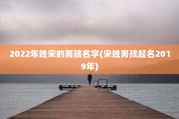2022年姓宋的男孩名字(宋姓男孩起名2019年)