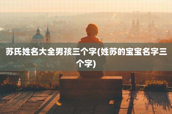 苏氏姓名大全男孩三个字(姓苏的宝宝名字三个字)