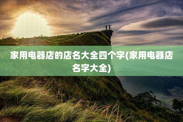 家用电器店的店名大全四个字(家用电器店名字大全)