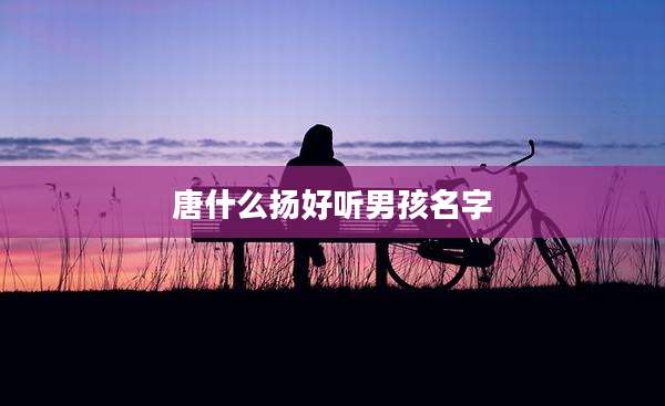 唐什么扬好听男孩名字
