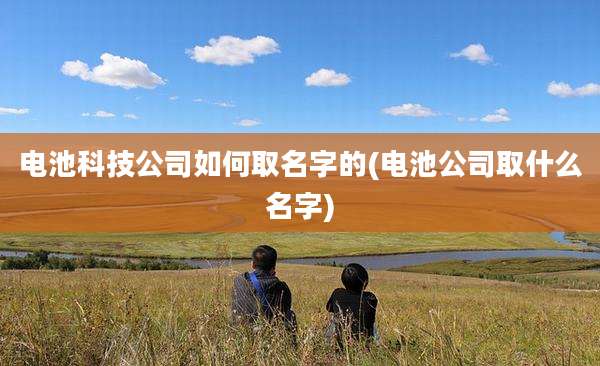 电池科技公司如何取名字的(电池公司取什么名字)