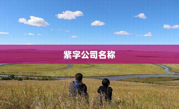 紫字公司名称