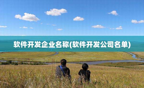 软件开发企业名称(软件开发公司名单)