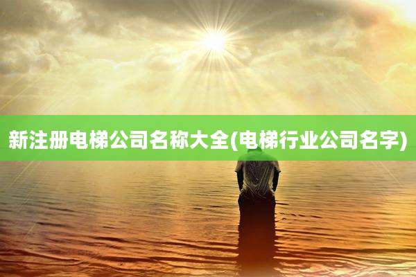 新注册电梯公司名称大全(电梯行业公司名字)