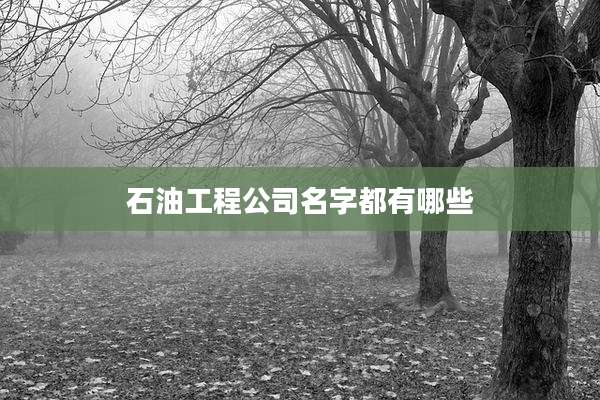 石油工程公司名字都有哪些