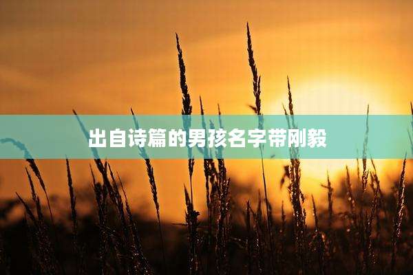 出自诗篇的男孩名字带刚毅