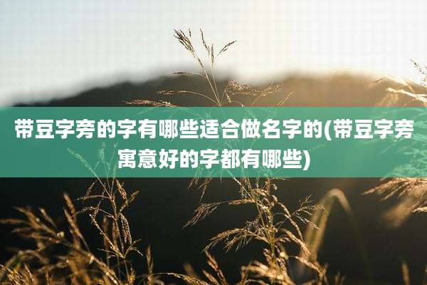 带豆字旁的字有哪些适合做名字的(带豆字旁寓意好的字都有哪些)
