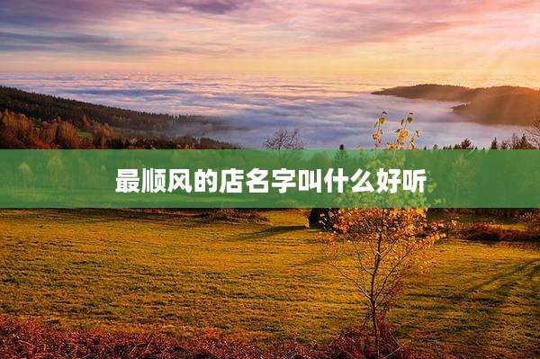 最顺风的店名字叫什么好听