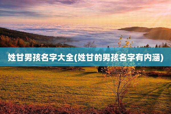 姓甘男孩名字大全(姓甘的男孩名字有内涵)