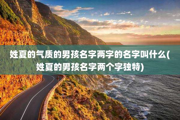 姓夏的气质的男孩名字两字的名字叫什么(姓夏的男孩名字两个字独特)