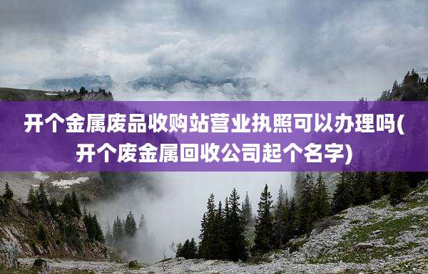 开个金属废品收购站营业执照可以办理吗(开个废金属回收公司起个名字)