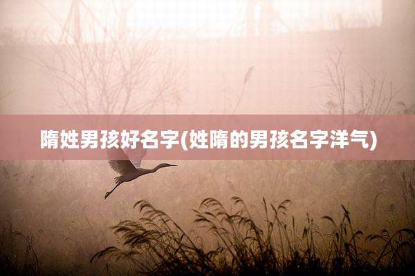 隋姓男孩好名字(姓隋的男孩名字洋气)
