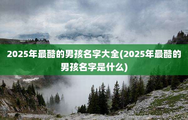 2025年最酷的男孩名字大全(2025年最酷的男孩名字是什么)