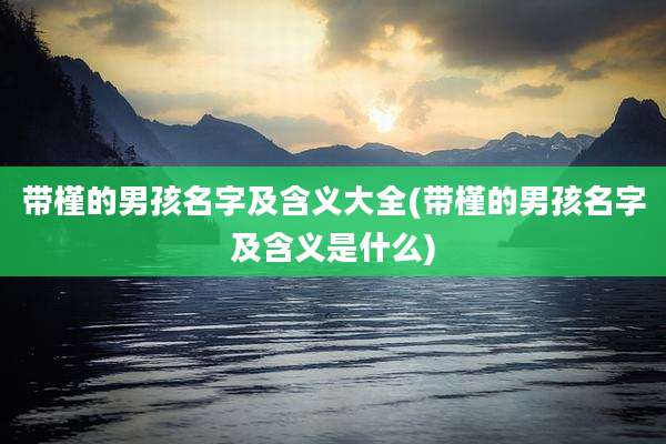 带槿的男孩名字及含义大全(带槿的男孩名字及含义是什么)