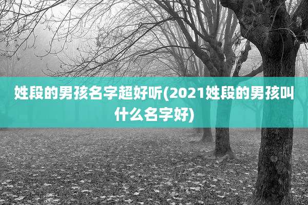 姓段的男孩名字超好听(2021姓段的男孩叫什么名字好)
