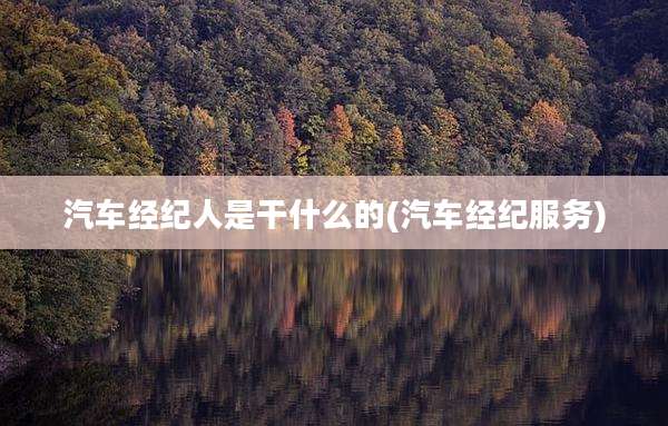 汽车经纪人是干什么的(汽车经纪服务)