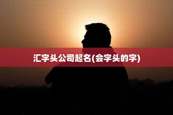 汇字头公司起名(会字头的字)