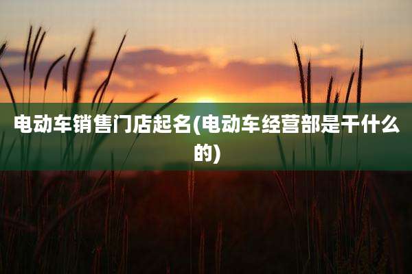电动车销售门店起名(电动车经营部是干什么的)