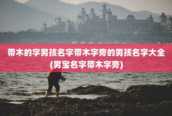 带木的字男孩名字带木字旁的男孩名字大全(男宝名字带木字旁)