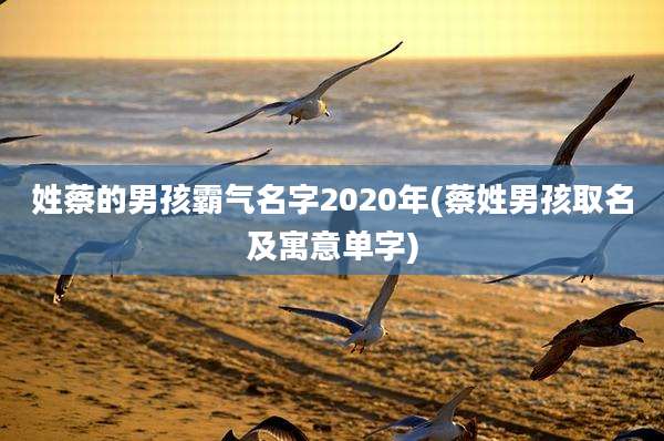 姓蔡的男孩霸气名字2020年(蔡姓男孩取名及寓意单字)