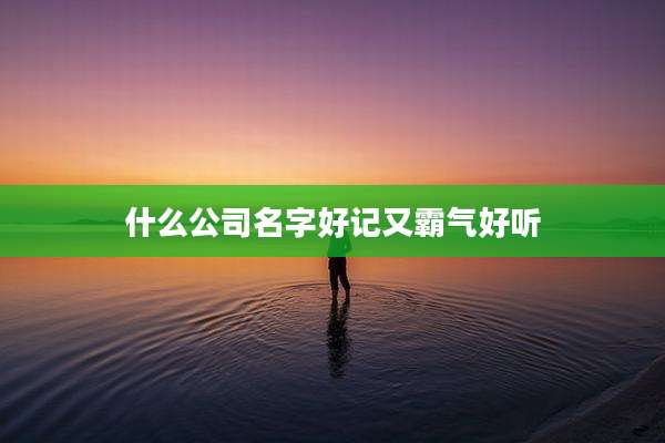 什么公司名字好记又霸气好听