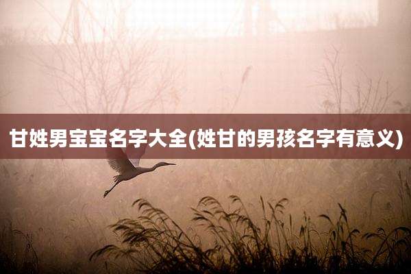 甘姓男宝宝名字大全(姓甘的男孩名字有意义)