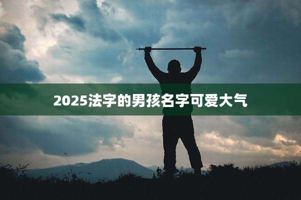 2025法字的男孩名字可爱大气