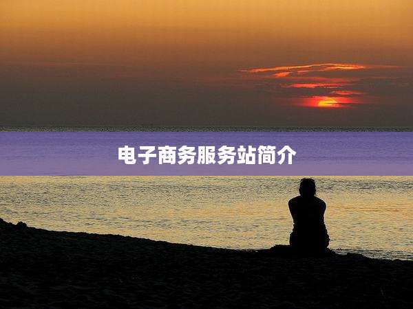 电子商务服务站简介