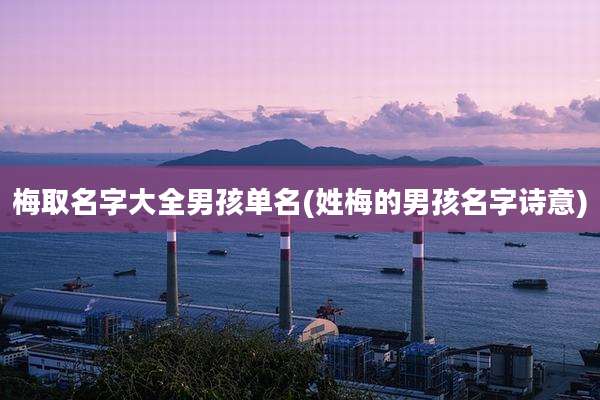 梅取名字大全男孩单名(姓梅的男孩名字诗意)