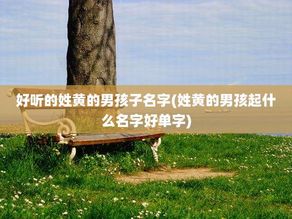好听的姓黄的男孩子名字(姓黄的男孩起什么名字好单字)