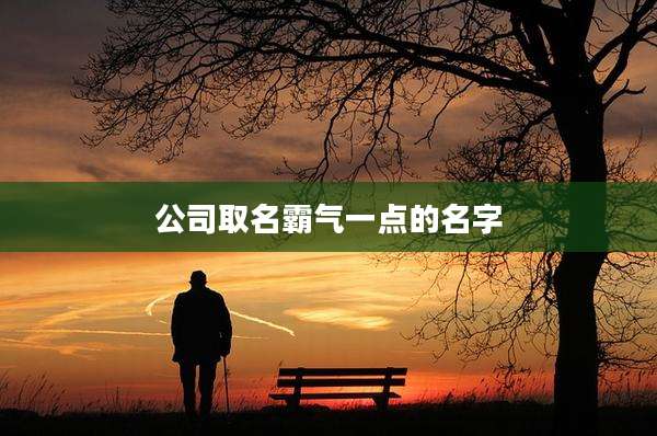 公司取名霸气一点的名字