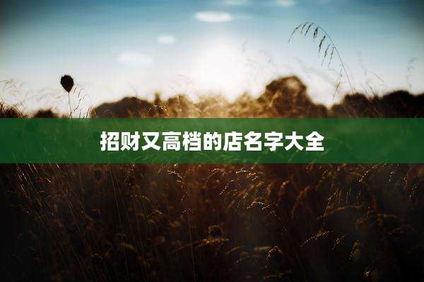 招财又高档的店名字大全