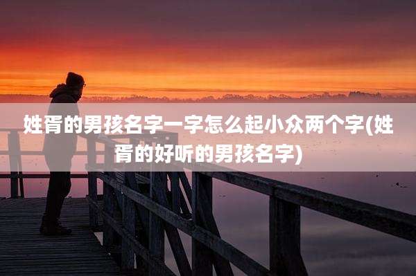 姓胥的男孩名字一字怎么起小众两个字(姓胥的好听的男孩名字)
