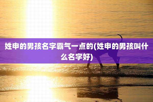 姓申的男孩名字霸气一点的(姓申的男孩叫什么名字好)