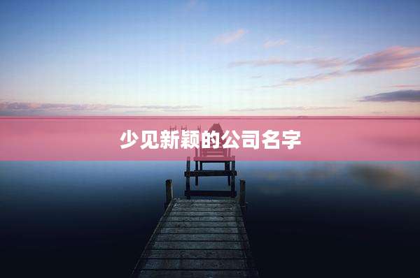 少见新颖的公司名字
