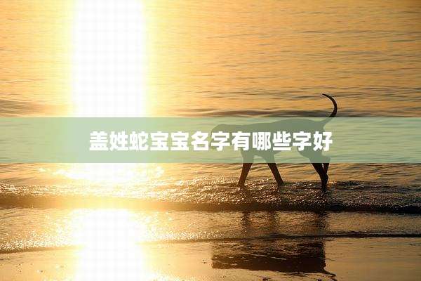 盖姓蛇宝宝名字有哪些字好