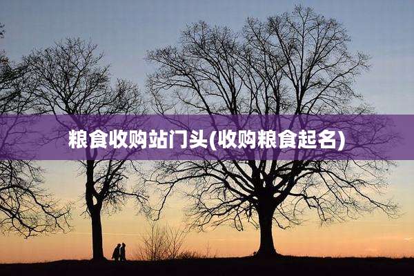 粮食收购站门头(收购粮食起名)