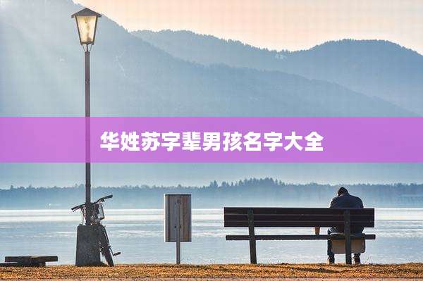 华姓苏字辈男孩名字大全