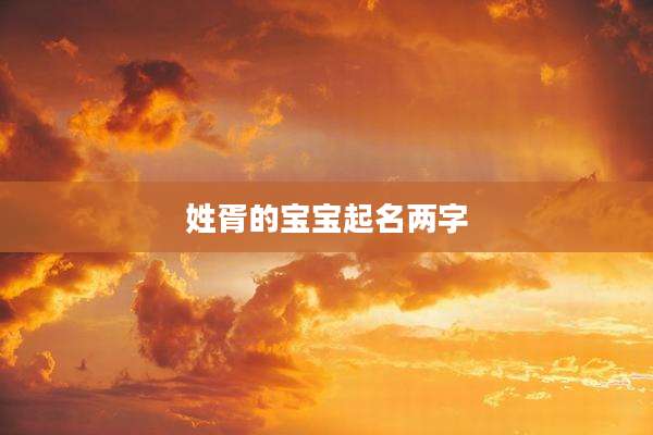 姓胥的宝宝起名两字