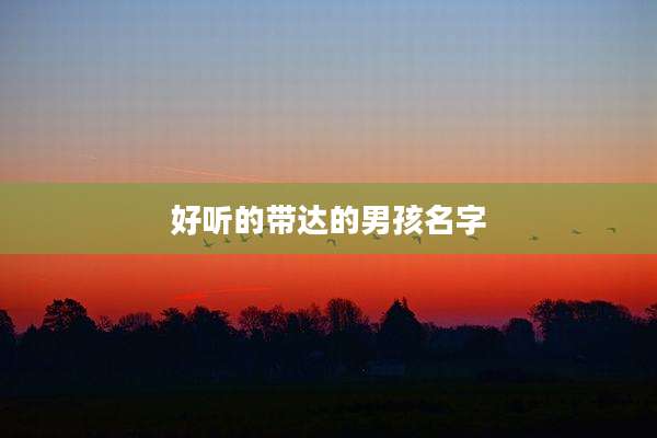 好听的带达的男孩名字