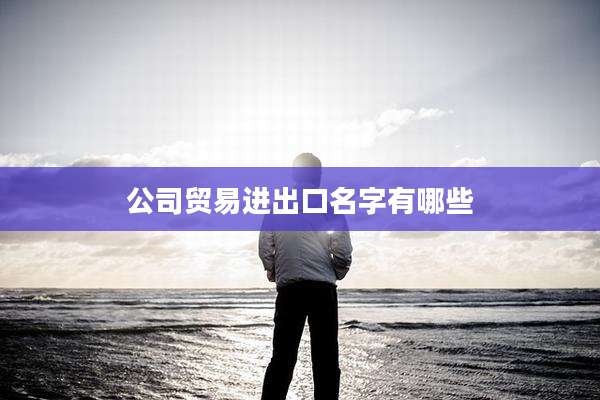 公司贸易进出口名字有哪些