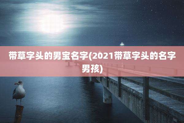 带草字头的男宝名字(2021带草字头的名字男孩)